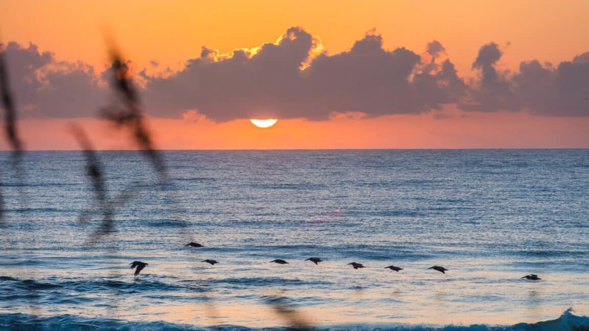 Fernandina Beach