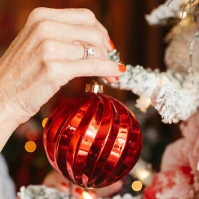 Holiday Ornament