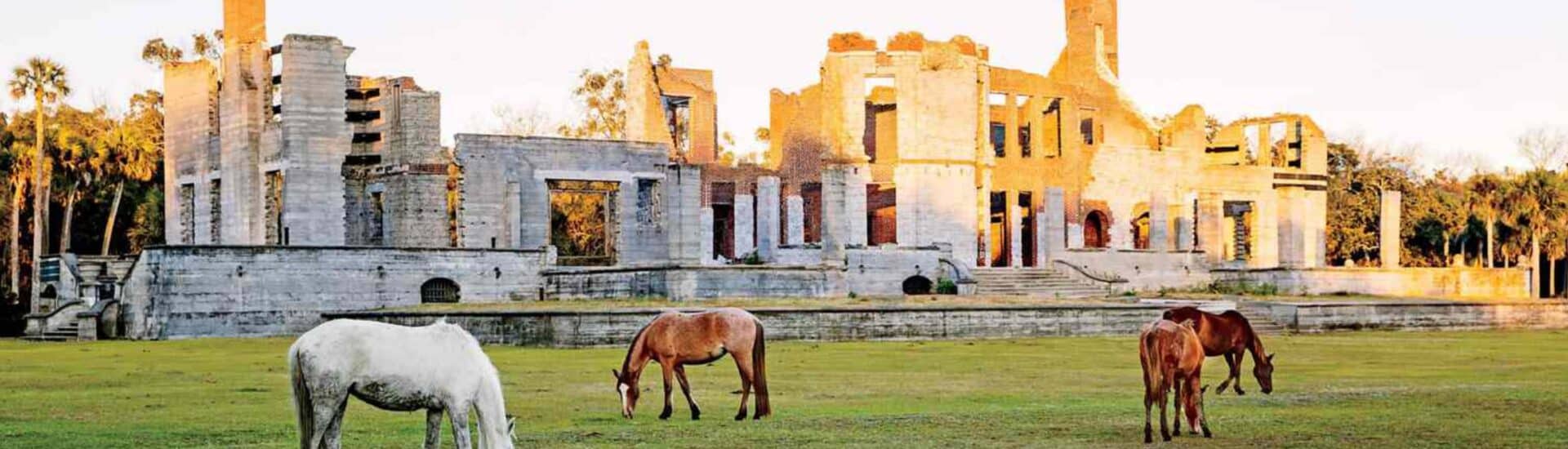 Cumberland Island