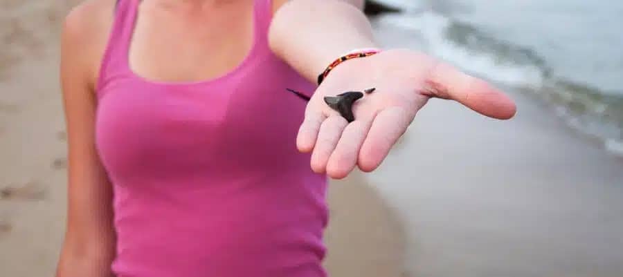 woman in pink tank top on the beach holding a black shark tooth