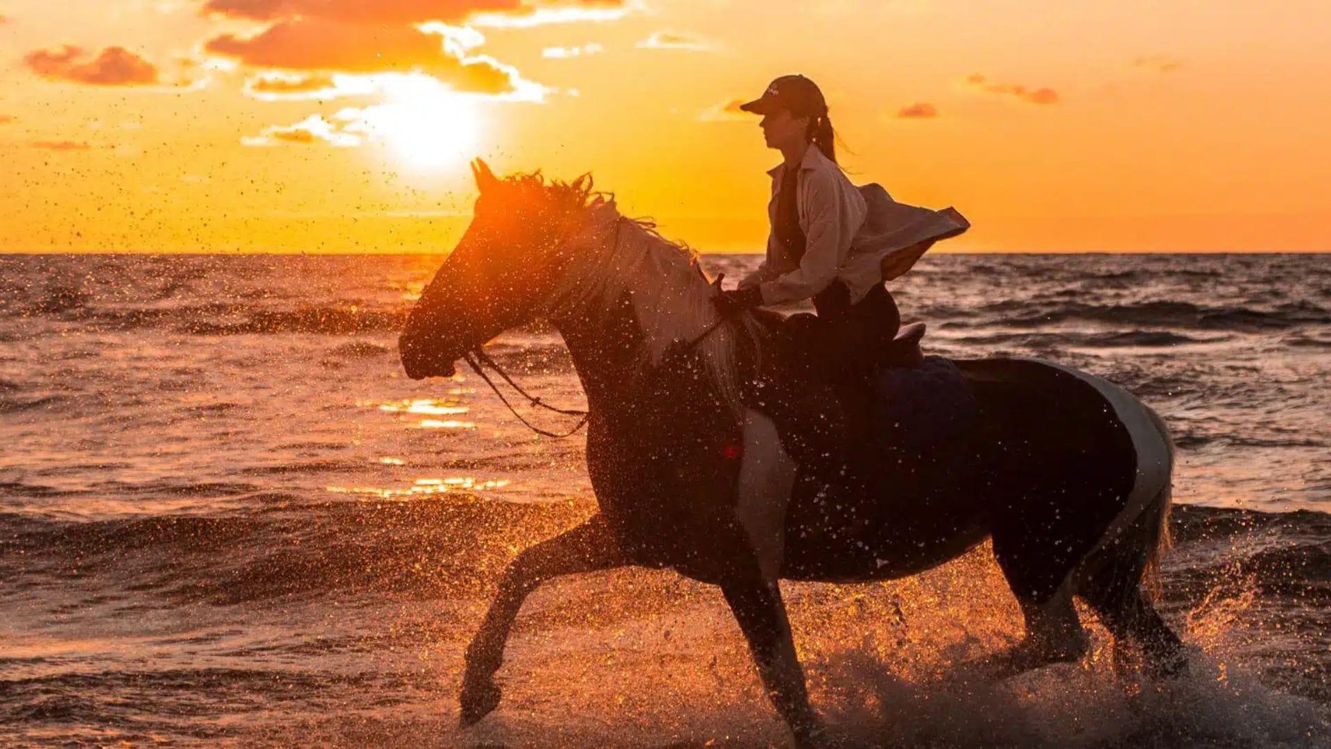 Woman riding a horse through waves on the beach with setting sun in the background