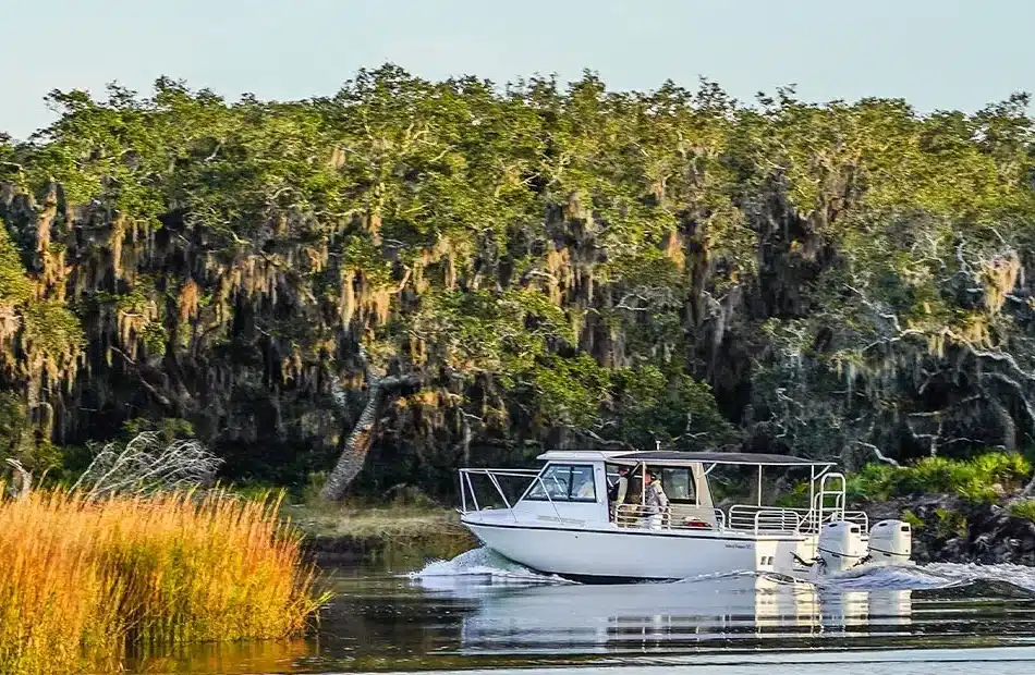 Miss Amelia private boat on the Amelia River